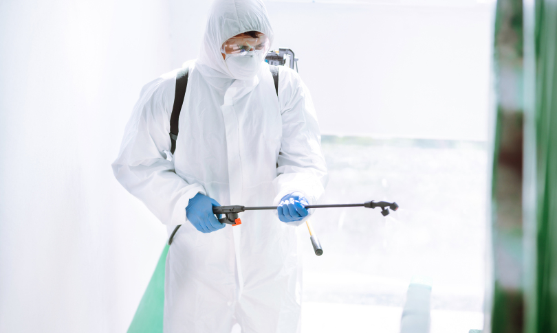 κατσαριδες2