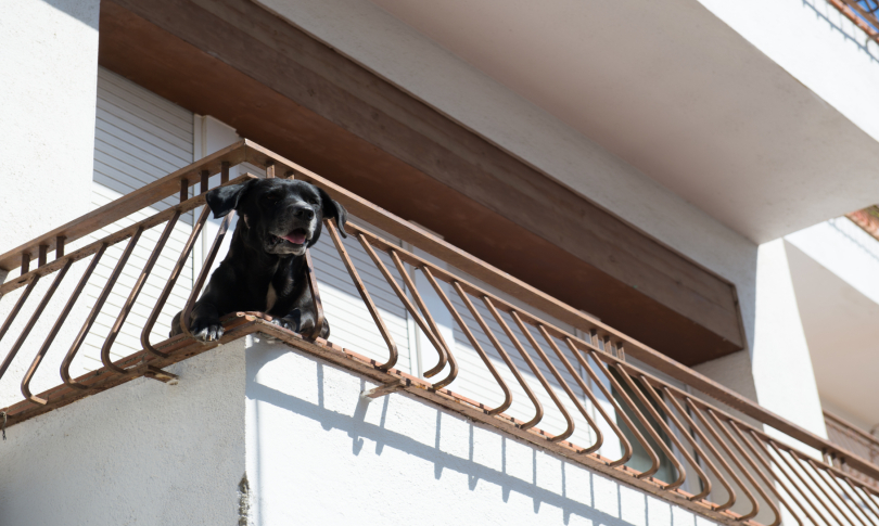 katikidia-diamerisma